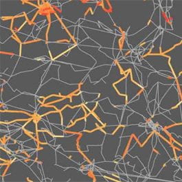 Digitally generated diagram of several orange and yellow network patterns over a gray background.